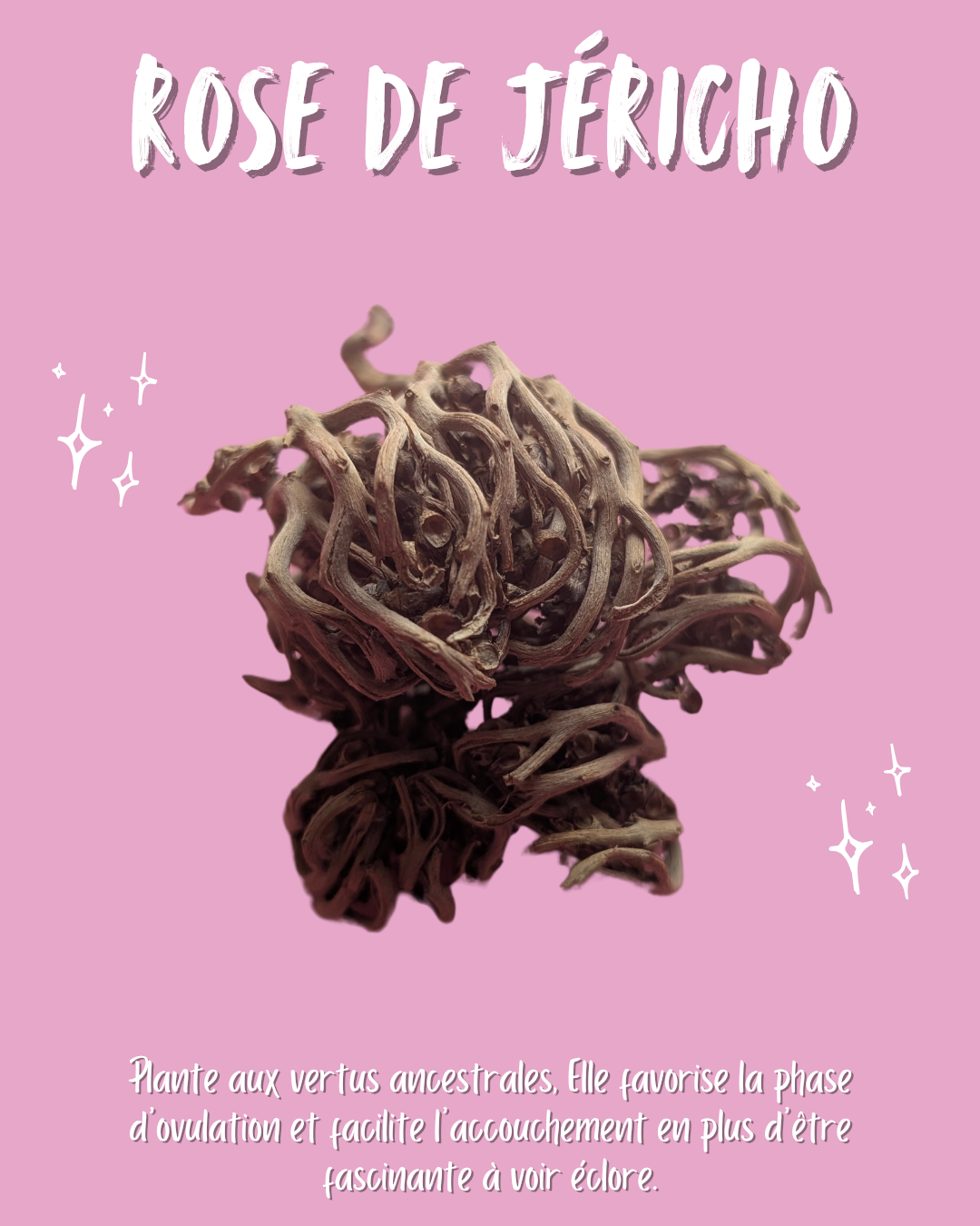 Box Mawadda wa Rahma